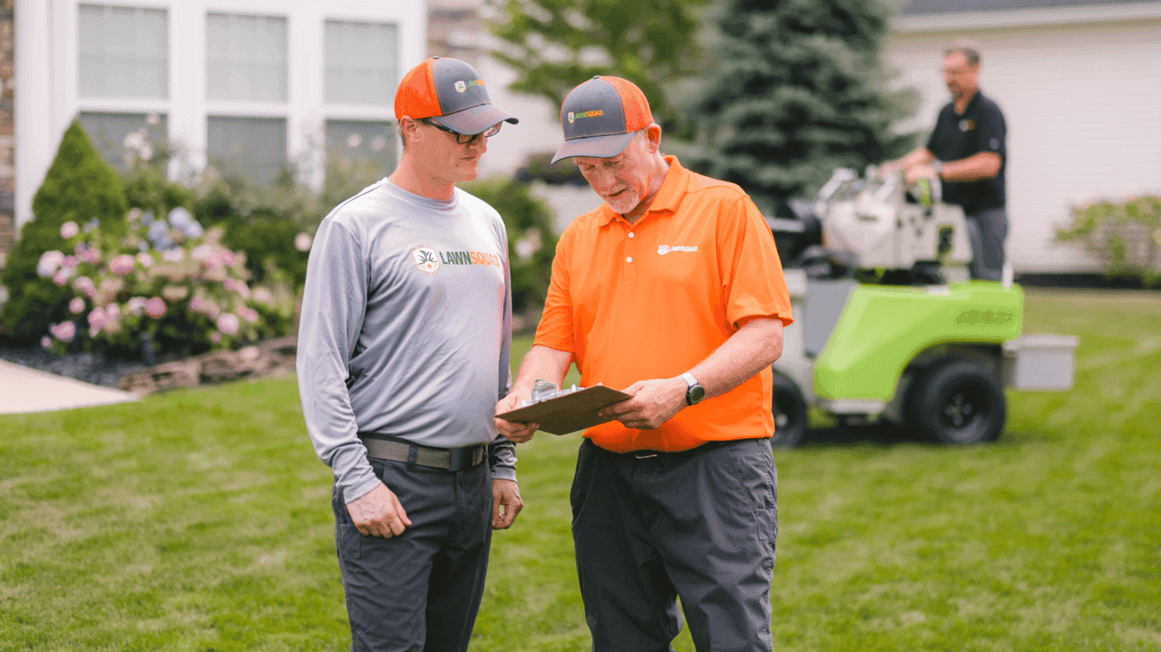 How Lawn Squad Evolved and Set New Standards How Much Does It Cost to Buy a Lawn Squad Franchise in 2026?