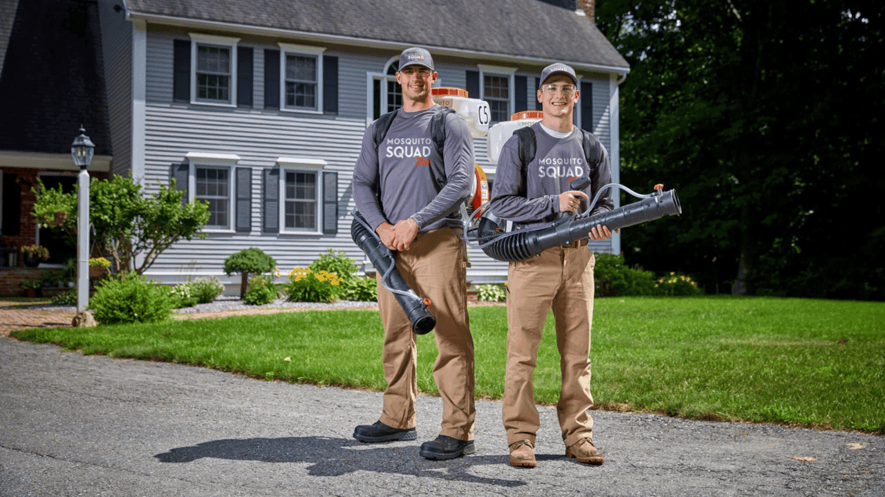 How Mosquito Squad Plus Evolved and Set New Standards Mosquito Squad Plus