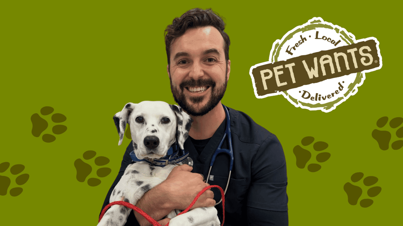 How Pet Wants Evolved and Set New Standards Why Vets Are Choosing Pet Wants Franchise Ownership